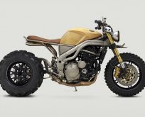 2007 Triumph Custom