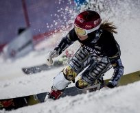 FIS SNOWBOARD DÜNYA KUPASI