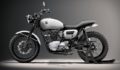 Kawasaki W650 Custom Motosiklet