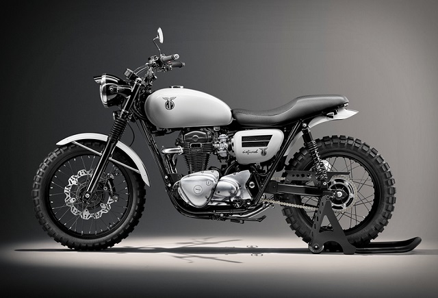 Kawasaki W650 Custom Motosiklet